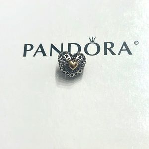 Pandora charm